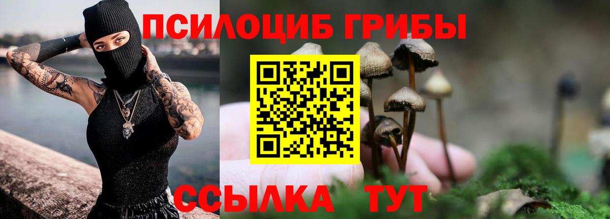 Азов  Галлюциногенные грибы прущие грибы  Псилоцибиновые грибы ЛСД  Вход с VPN 
